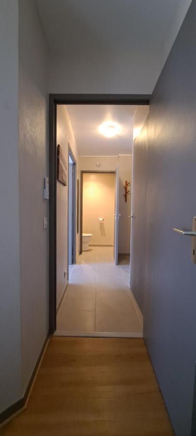 Appart T2 Standing Tout Confort Avec Balcon - Parking En Option Lyon Ngoại thất bức ảnh